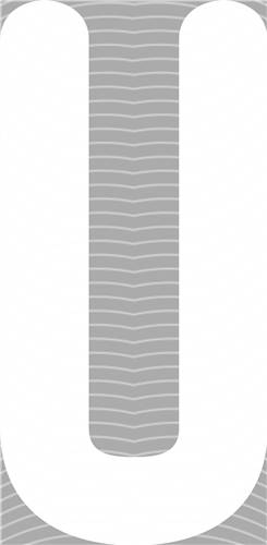 NBA and Team-QD 2235